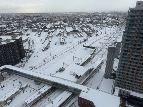 住戸からの眺望写真  写真撮影日：2024-12-19