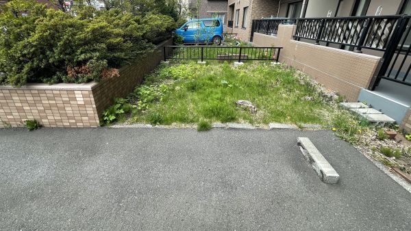 庭  写真撮影日：2025-05-09