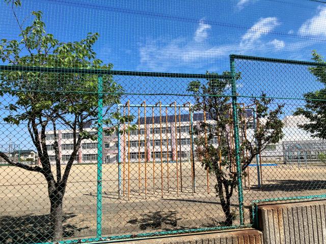 平岡公園小学校 300m 写真撮影日：2025-07-12