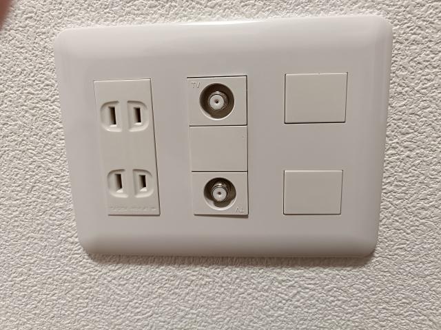その他  写真撮影日：2025-08-26