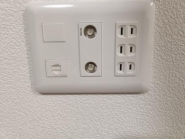 その他  写真撮影日：2025-08-26