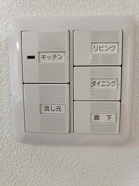 その他  写真撮影日：2025-08-26