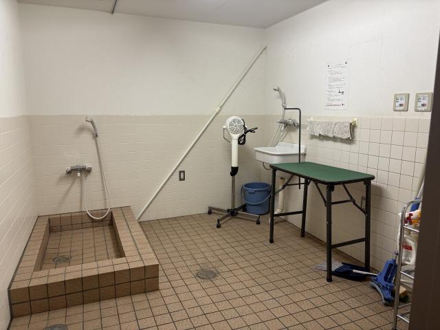 その他共用部  写真撮影日：2025-11-23