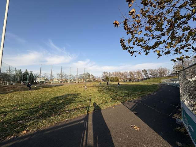 太平公園 450m 写真撮影日：2025-11-21