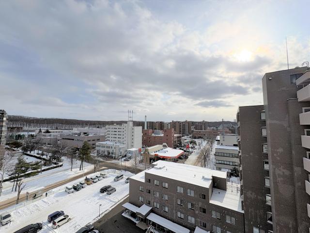 住戸からの眺望写真  写真撮影日：2026-01-17