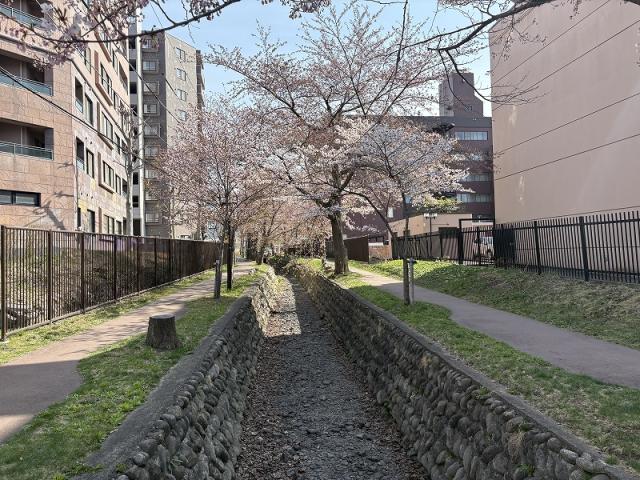 マンション裏の歩道 10m 写真撮影日：2026-04-27