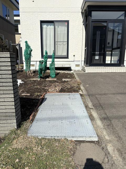 その他  写真撮影日：2026-03-25