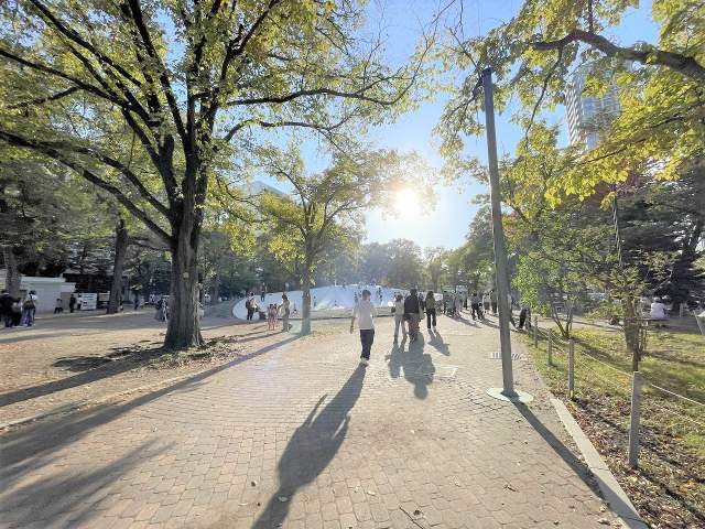 大通公園 900m 写真撮影日：2026-09-19