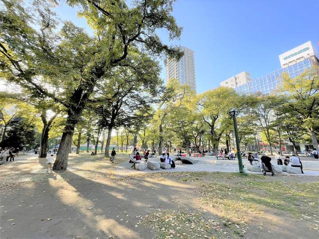 大通公園 900m 写真撮影日：2026-09-19