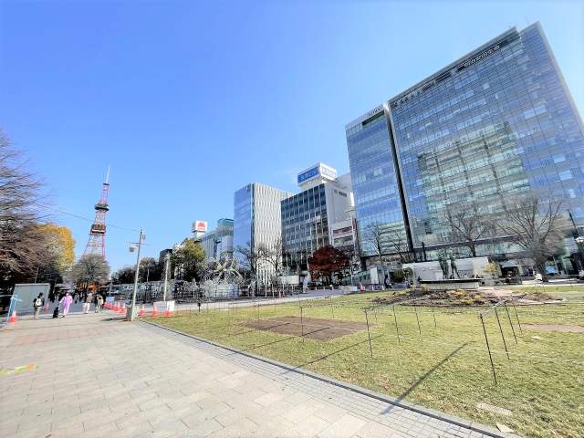大通公園 900m 写真撮影日：2026-09-19
