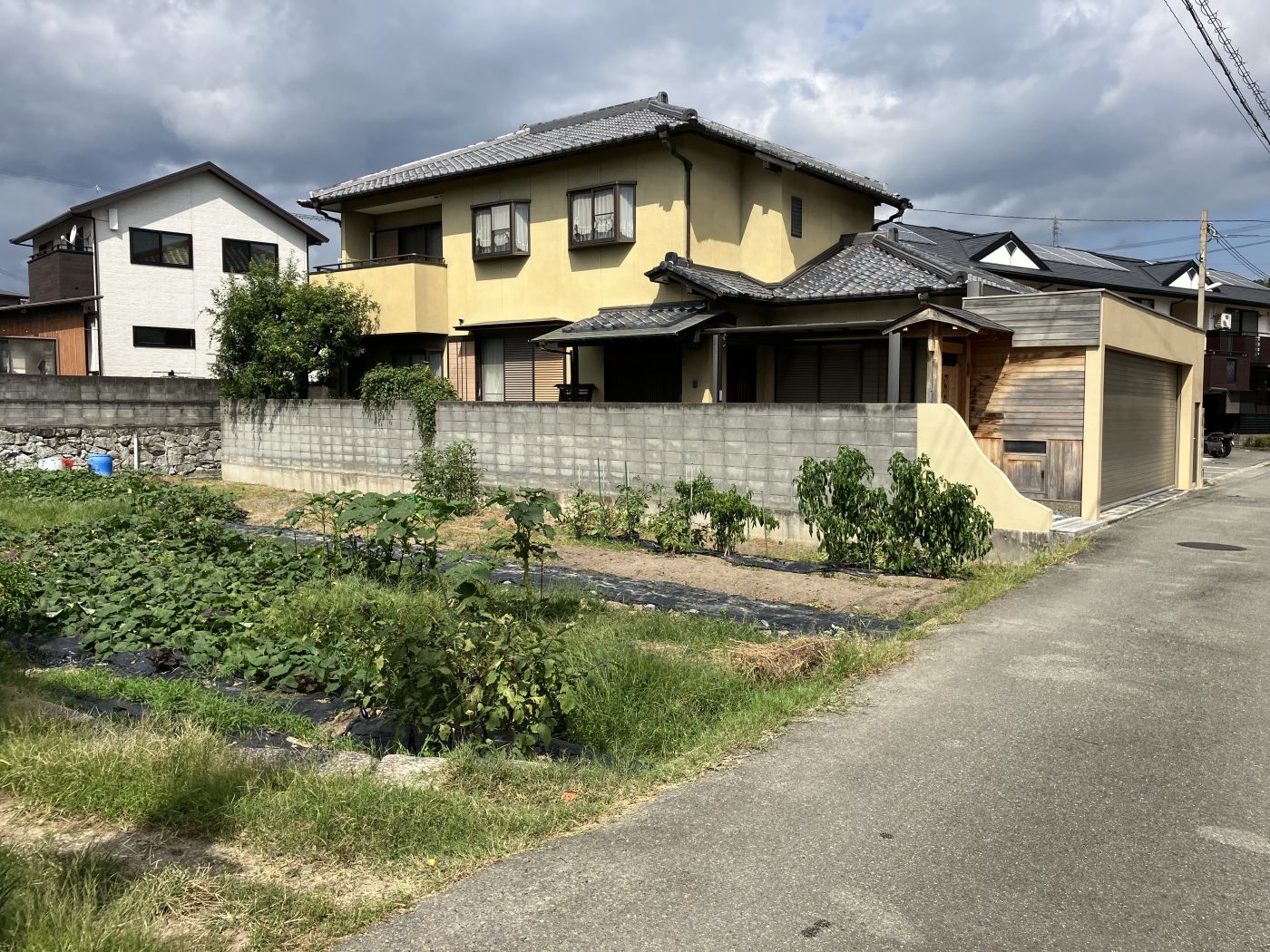 現地（2023年10月）撮影