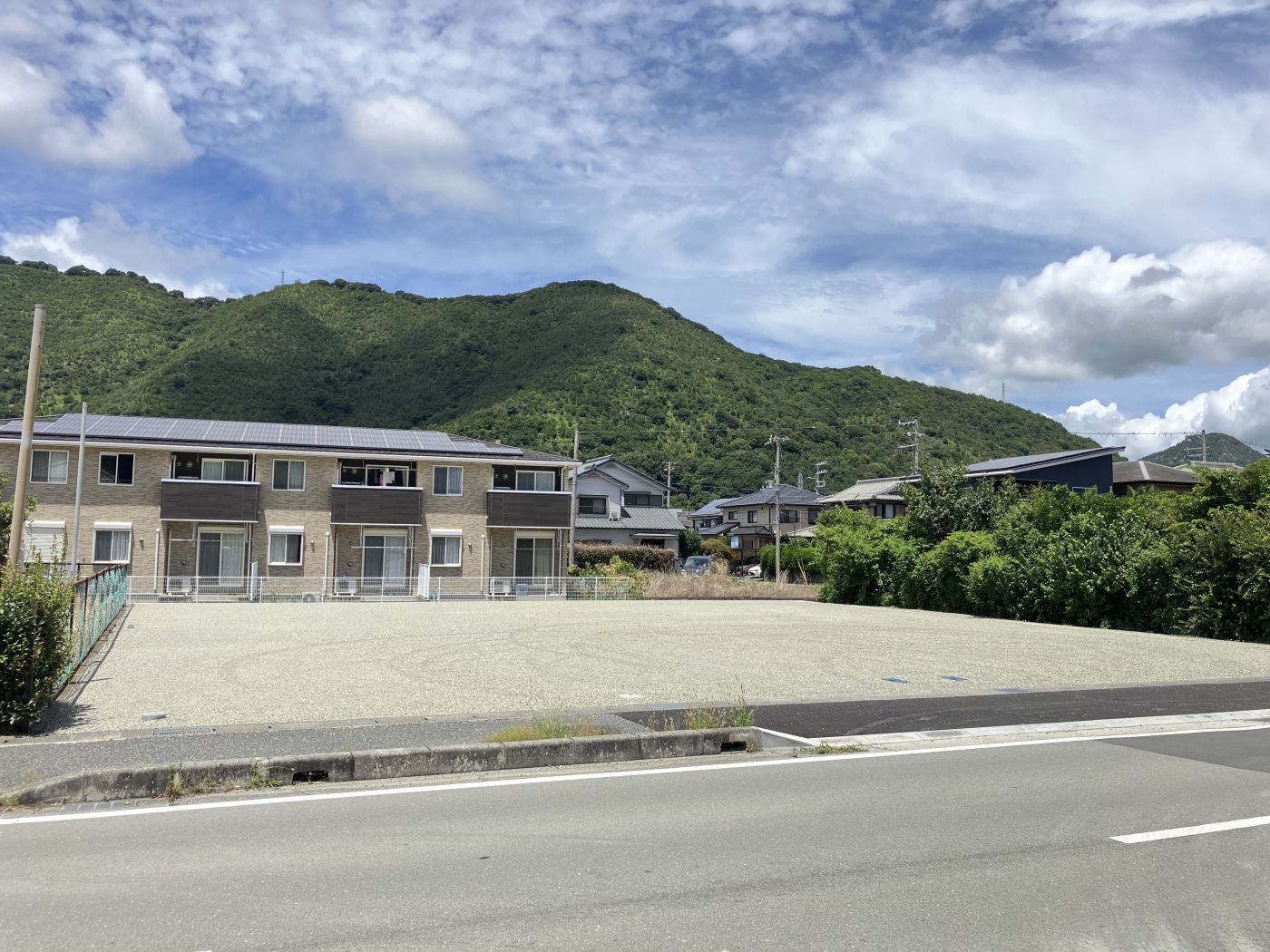 撮影年月：2024年7月