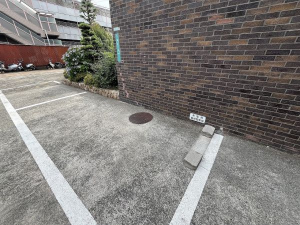 駐車場(共用設備)  写真撮影日：2025-01-17