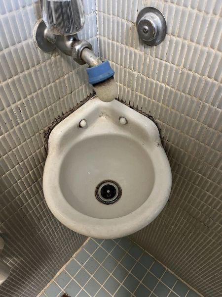 その他  写真撮影日：2025-01-17
