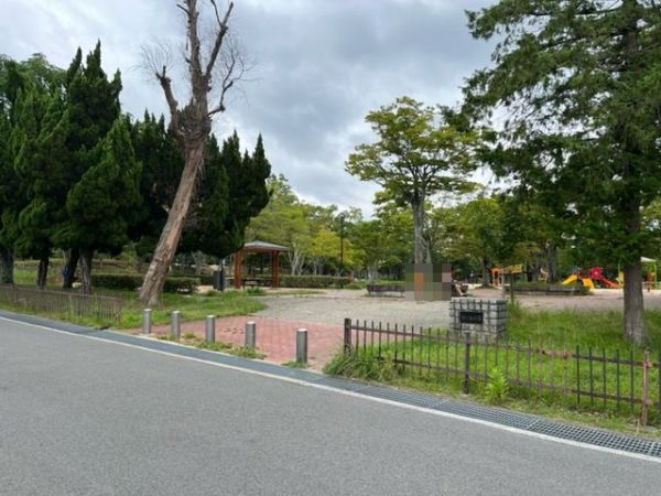 桜が丘公園 390m 写真撮影日：2024-11-08 