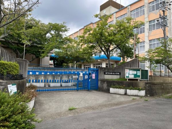 神戸市立桜が丘小学校 580m 写真撮影日：2024-11-08 