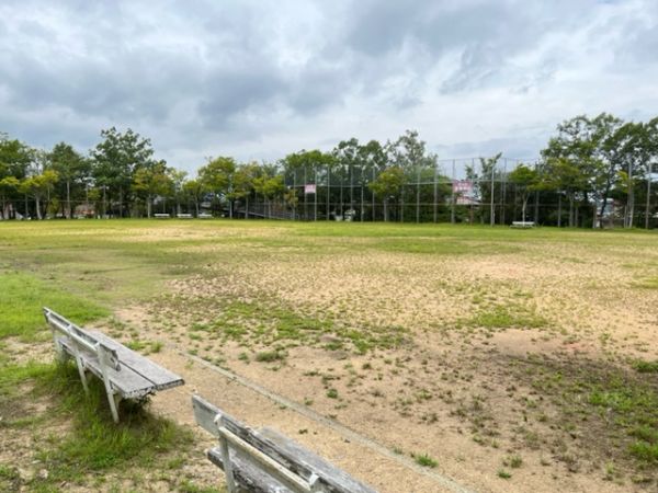 桜が丘中央公園 650m 写真撮影日：2024-11-08 