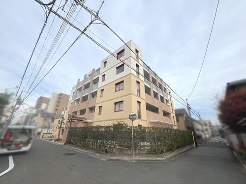 現地写真（２０２４年１２月撮影）