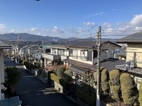 その他  写真撮影日：2025-01-11