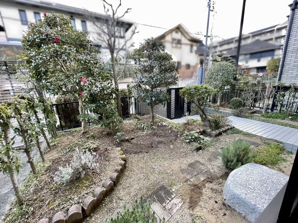 庭  写真撮影日：2025-01-11