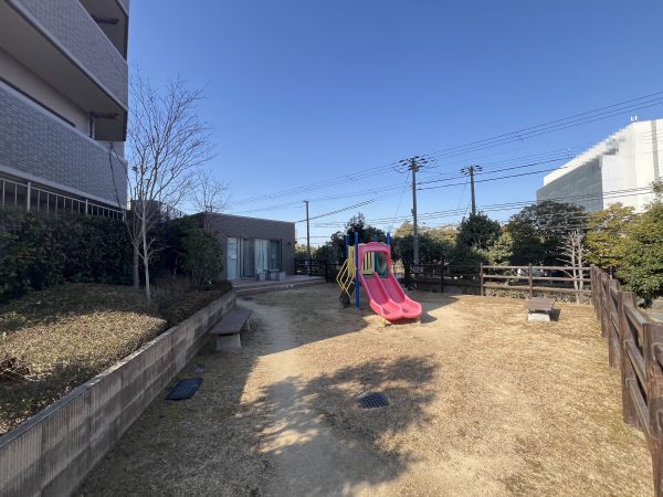 その他現地  写真撮影日：2025-03-08