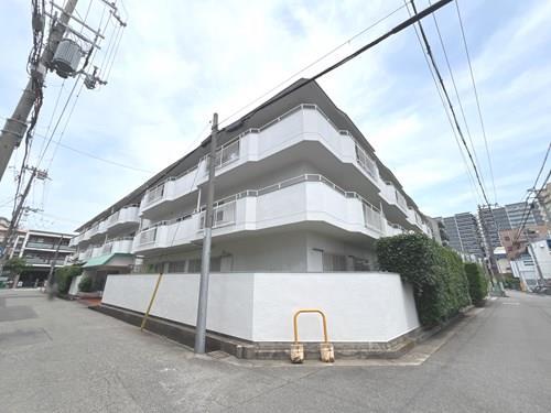 現地写真（２０２５年６月撮影）