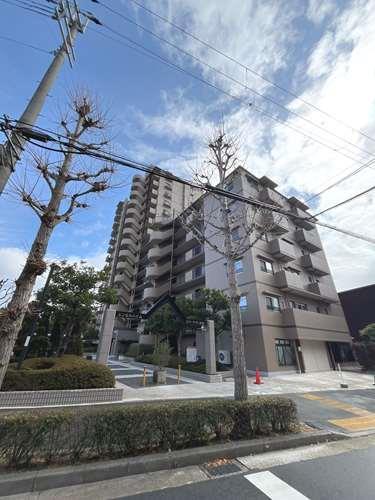 現地写真（２０２５年３月撮影）