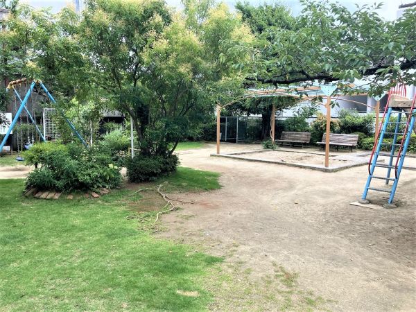 雲雀丘公園　 450m 写真撮影日：2024-11-14 