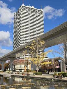 南向き　7階部分　陽当たり良好