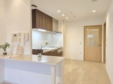 システムキッチン新調、カウンター新設