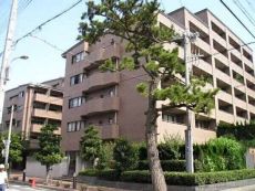 地上6階地下1階建、総戸数91戸。共用部は三菱地所コミュニティによる日勤管理が実施されております。