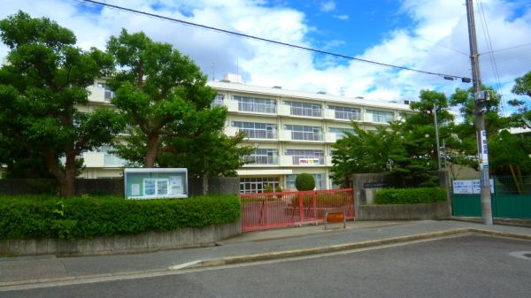 宝塚市立中山五月台中学校 700m 写真撮影日：2025-04-28 