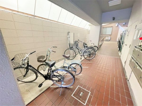 駐車場(共用設備)  写真撮影日：2024-06-30