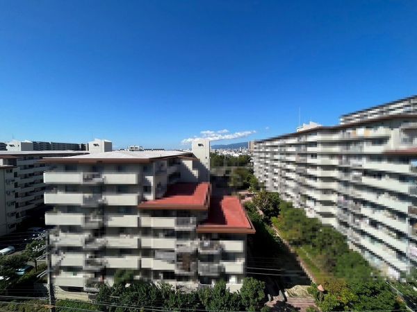 住戸からの眺望写真  写真撮影日：2025-01-20