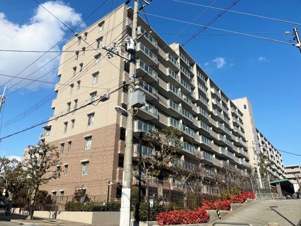 現地外観写真  写真撮影日：2025-03-08