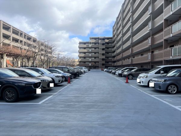 駐車場(共用設備)  写真撮影日：2025-03-08