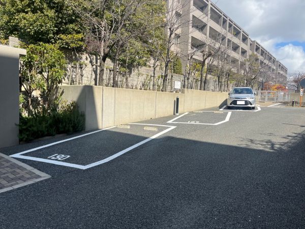 駐車場(共用設備)  写真撮影日：2025-03-08
