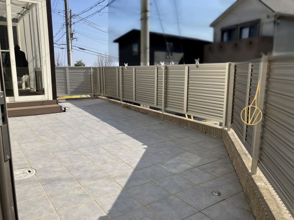 庭  写真撮影日：2025-03-22