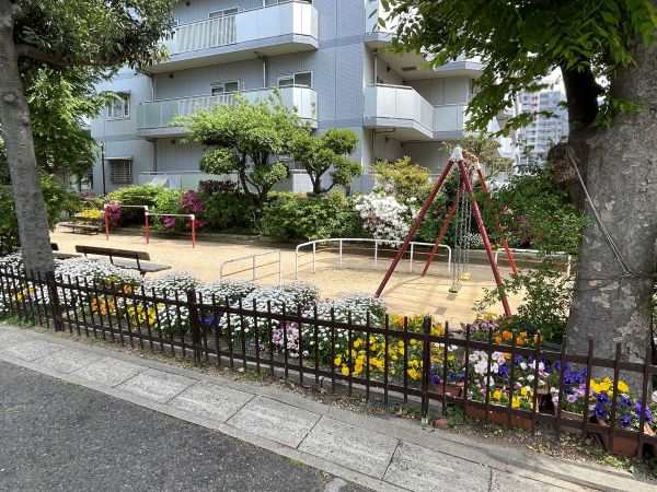 入江公園 50m 写真撮影日：2025-05-09 