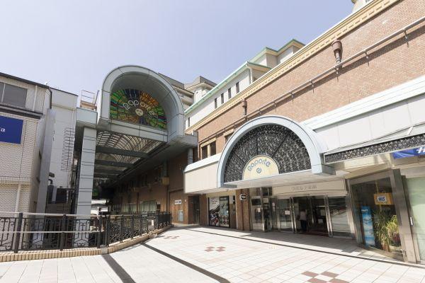ラポルテ 550m 写真撮影日：2025-01-25