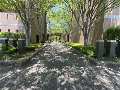 敷地内通路