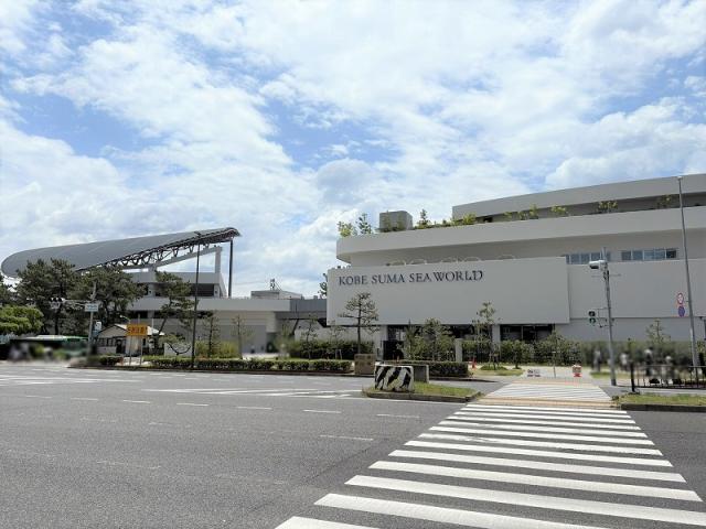 神戸須磨シーワールド 140m 写真撮影日：2025-06-26