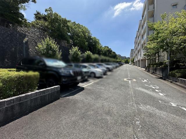 駐車場(共用設備)  写真撮影日：2025-06-30