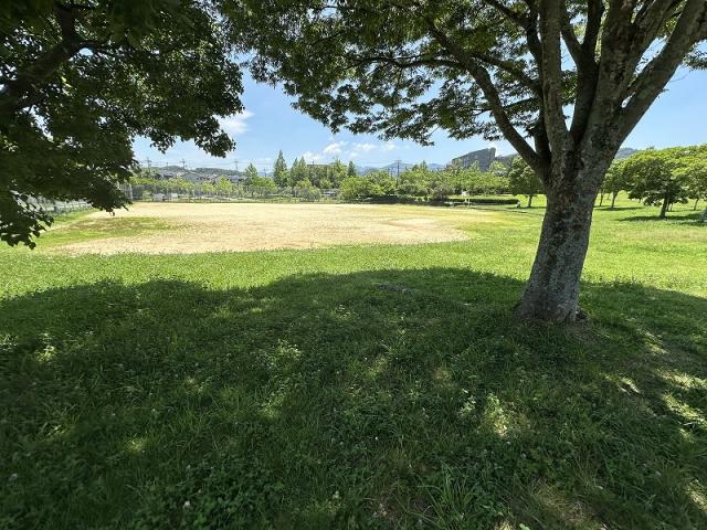 柳谷公園 190m 写真撮影日：2025-06-30