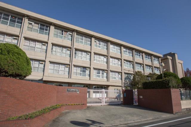 市立深津中学校 800m 写真撮影日：2025-07-20