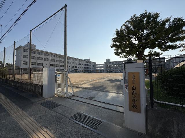 白浜小学校 10m 写真撮影日：2025-08-24