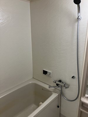 バス