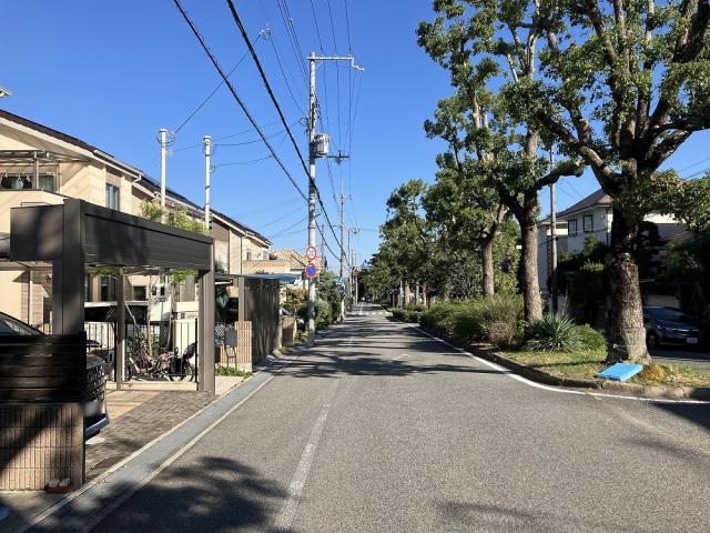 前面道路含む現地写真  写真撮影日：2025-10-27