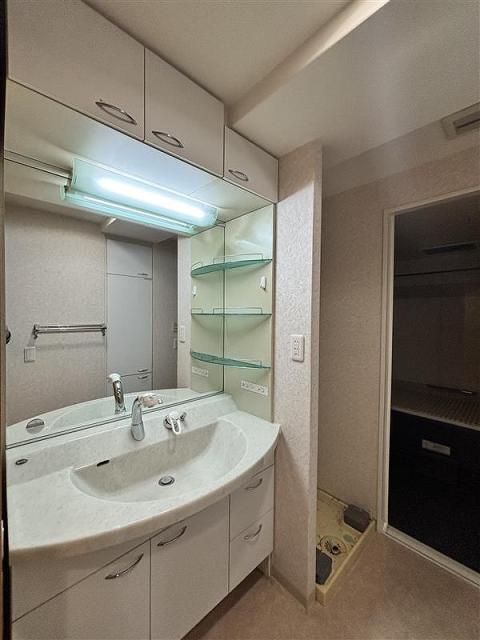 洗面台・洗面所  写真撮影日：2025-11-02