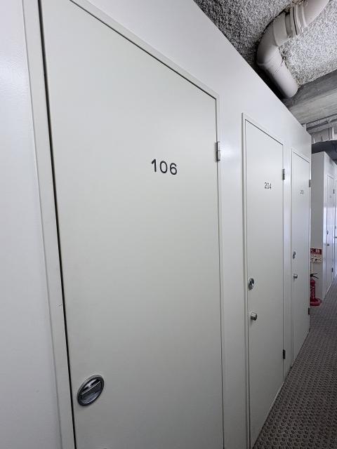 その他  写真撮影日：2025-11-02